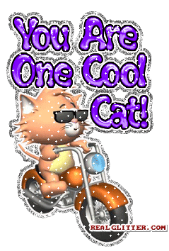 coolkitty